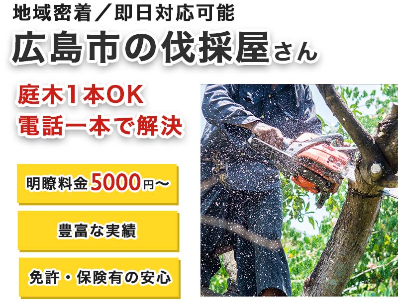 広島市の庭木伐採屋さん